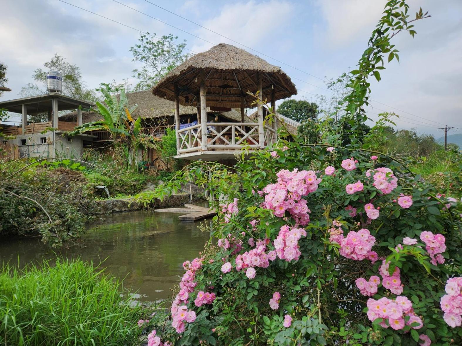 Dong Que Homestay-Tours-Motorbike, Car Rental, Hiking Ha Giang Exterior foto